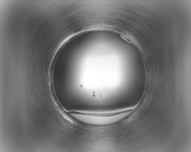 X0000061100854200512022057