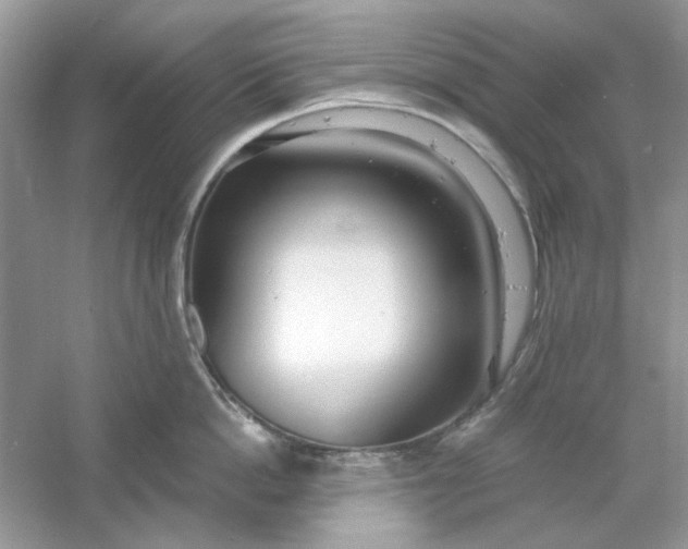 X0000061100862200512022057