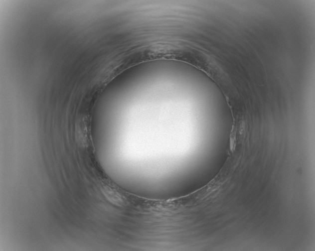 X0000061100868200512022056