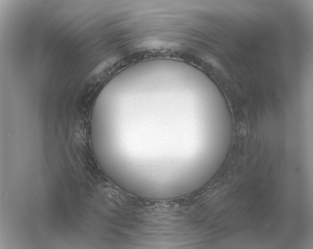 X0000061100869200512022056
