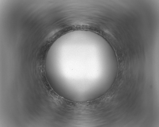 X0000061100870200512022056