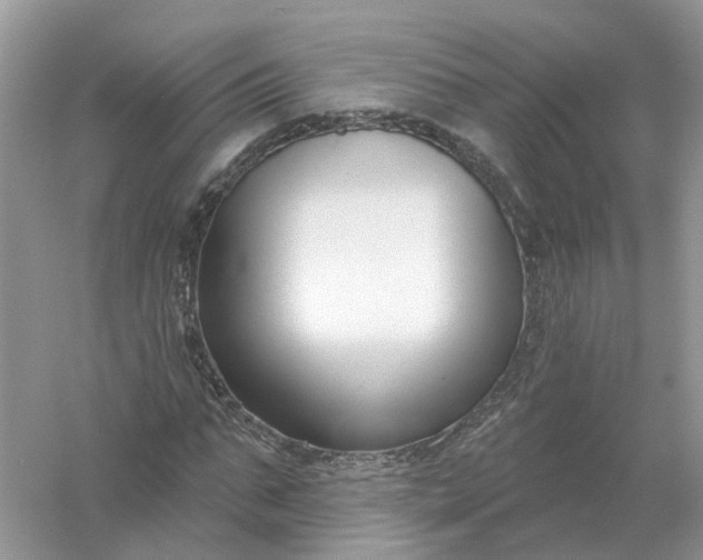 X0000061100871200512022056