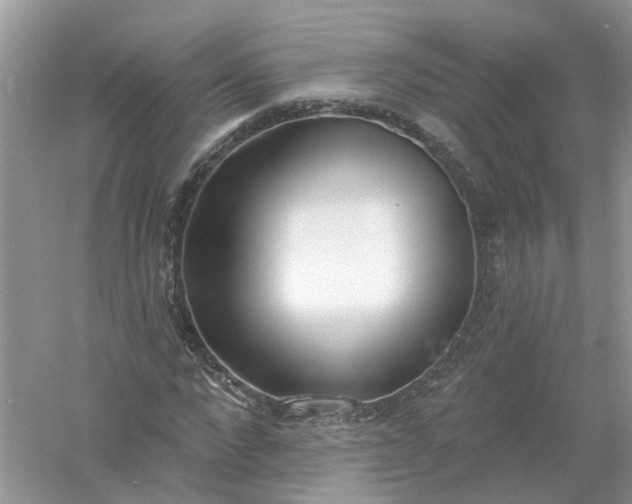 X0000061100872200512022056