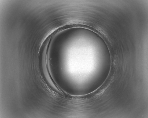 X0000061100877200512022056