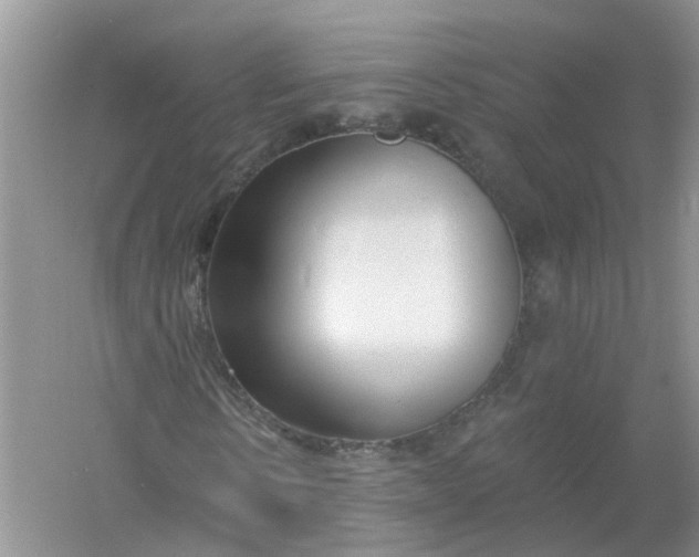 X0000061100914200512022054