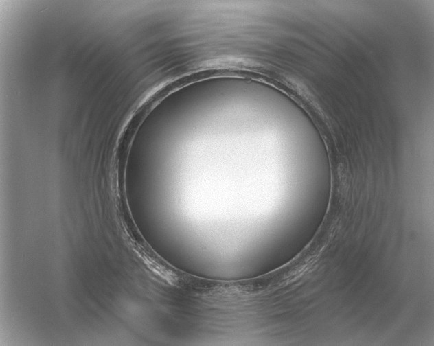 X0000061100931200512022055
