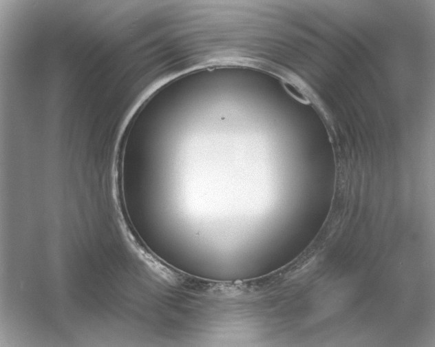 X0000061100955200512022055
