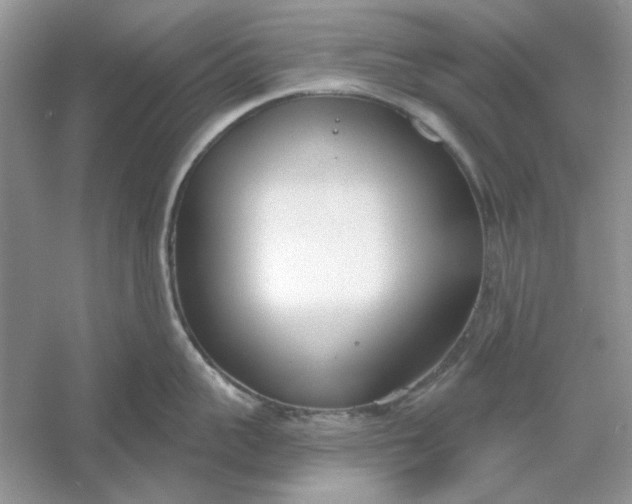 X0000061100959200512022055