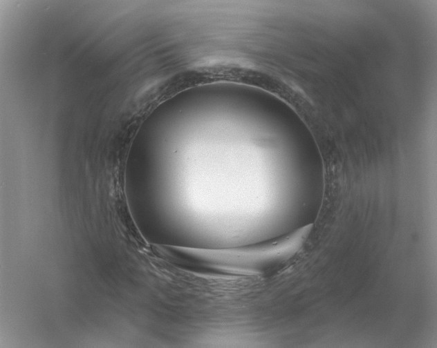 X0000061100965200512022054