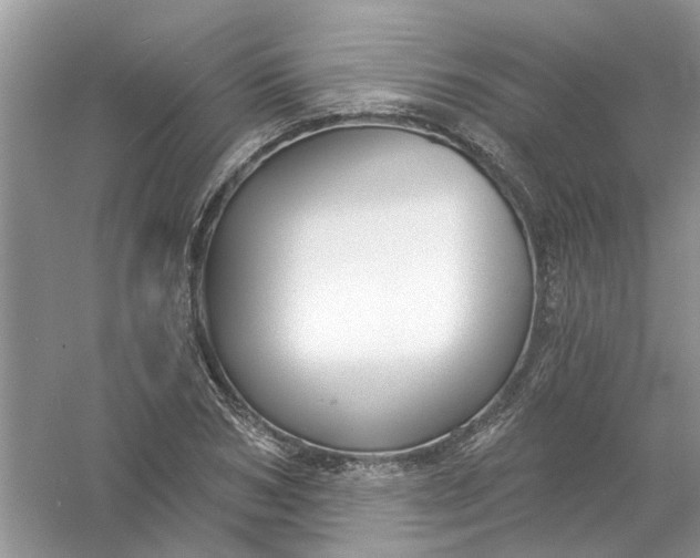 X0000061100978200512022054