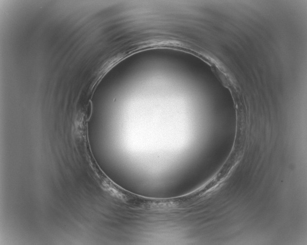 X0000061101001200512022054