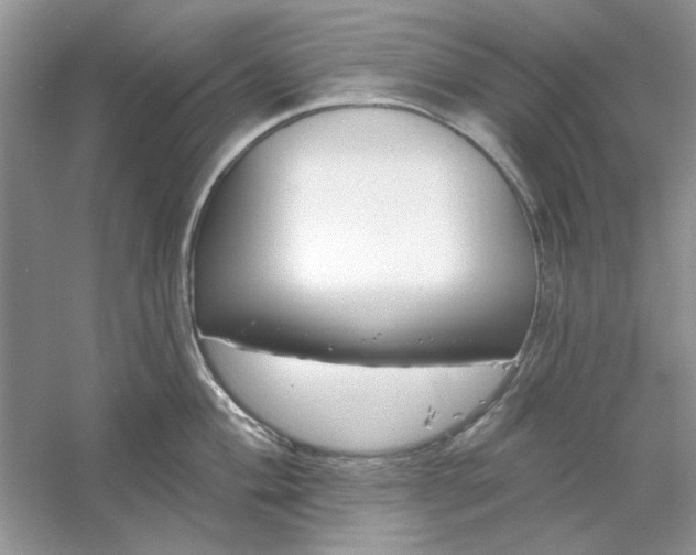 X0000061101004200512022053