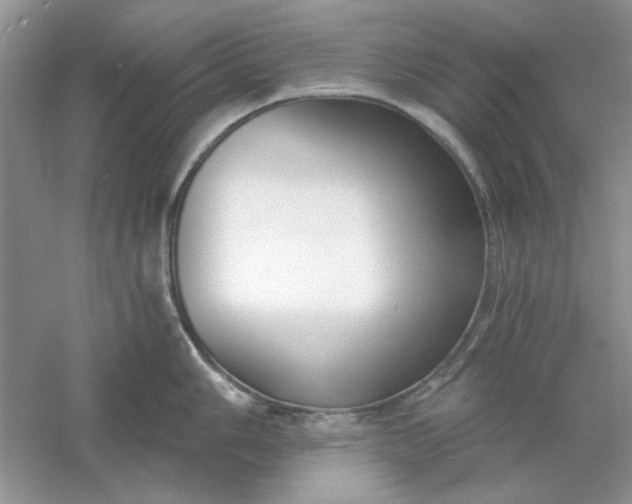 X0000061101006200512022053
