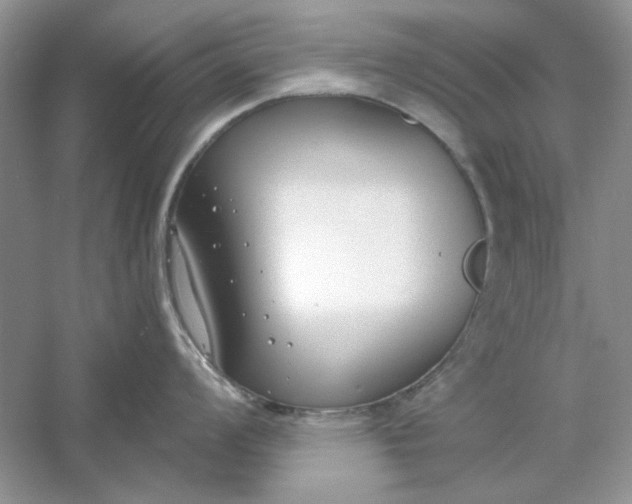 X0000061101008200512022053