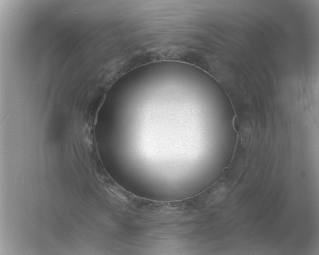 X0000061101010200512022053