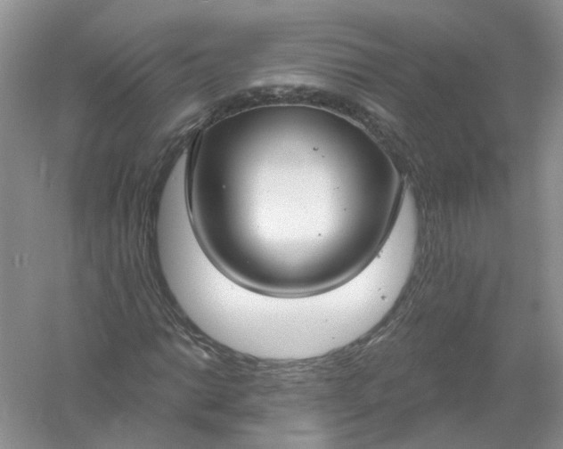 X0000061101014200512022053