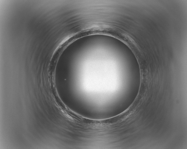X0000061101018200512022053