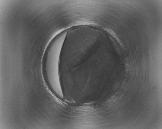 X0000061101024200512022053
