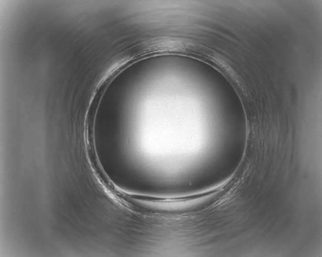 X0000061101034200512022053