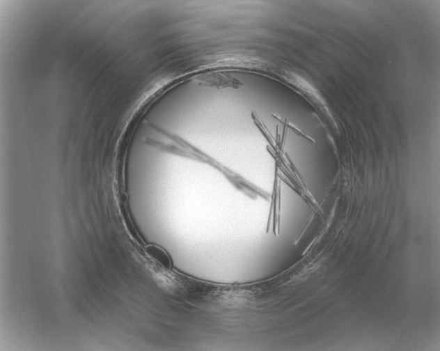 X0000061101043200512022053