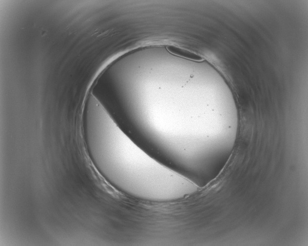 X0000061101052200512022053