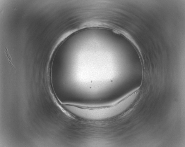 X0000061101053200512022053