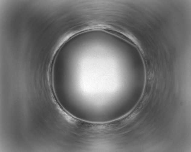 X0000061101054200512022053