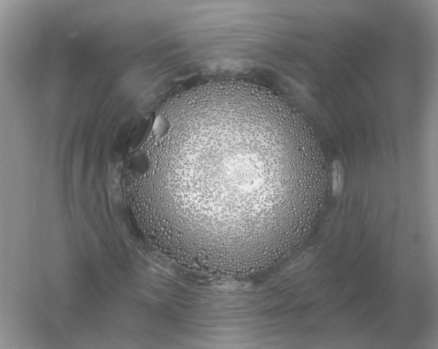 X0000061101059200512022053