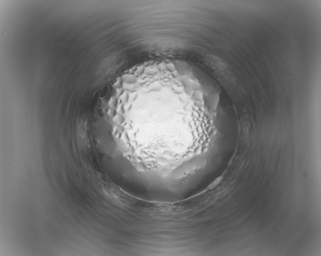 X0000061101060200512022053