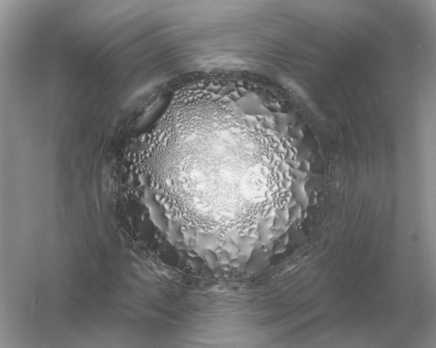 X0000061101063200512022052