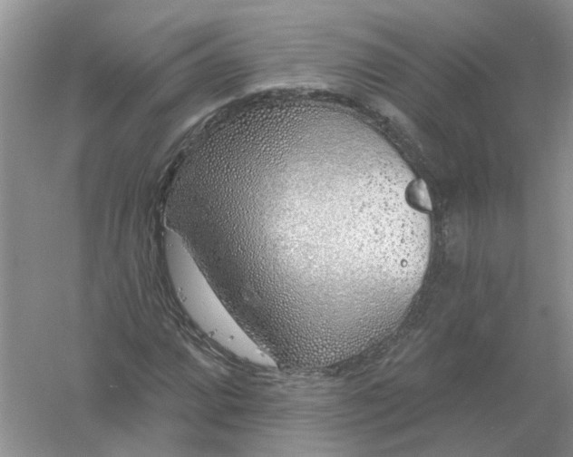X0000061101064200512022052