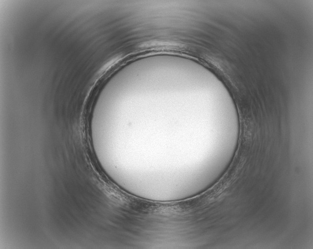 X0000061101074200512022052