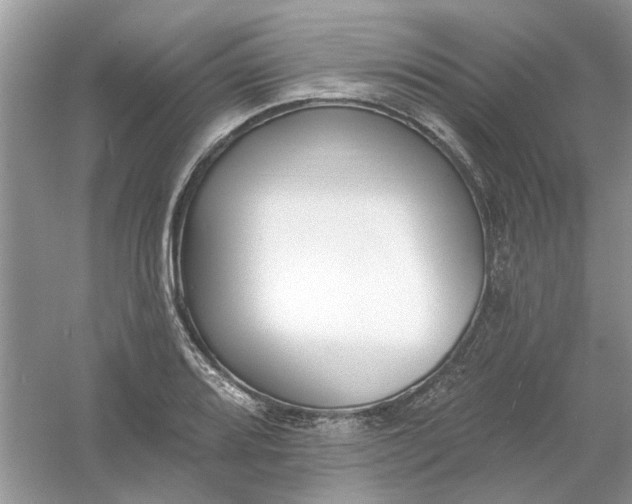 X0000061101080200512022052