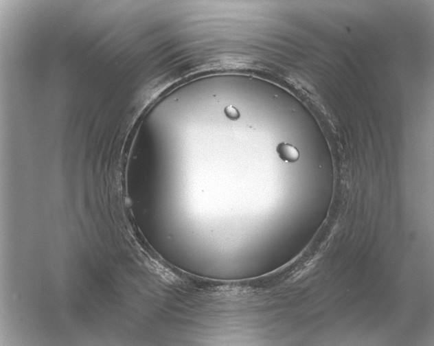 X0000061101081200512022052