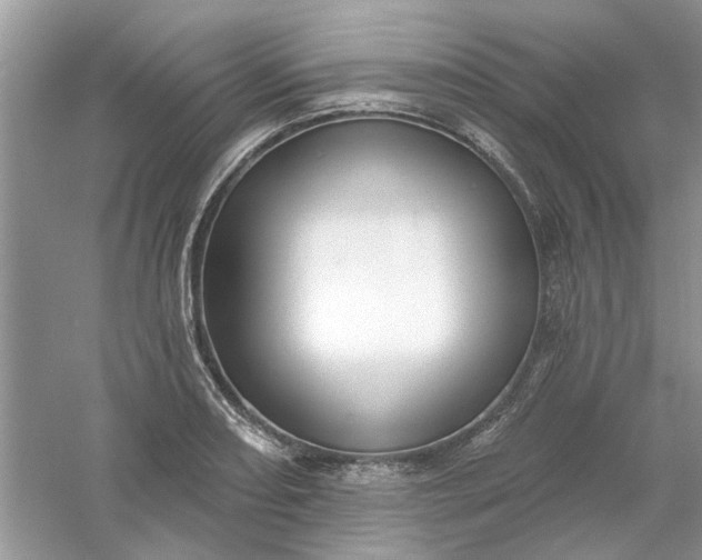 X0000061101082200512022052