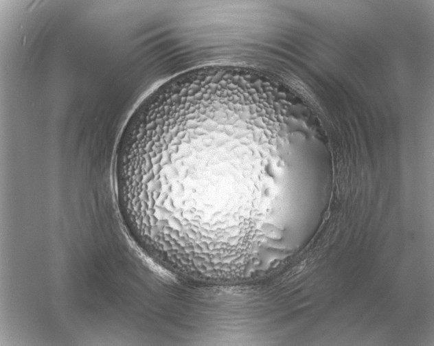 X0000061101084200512022052