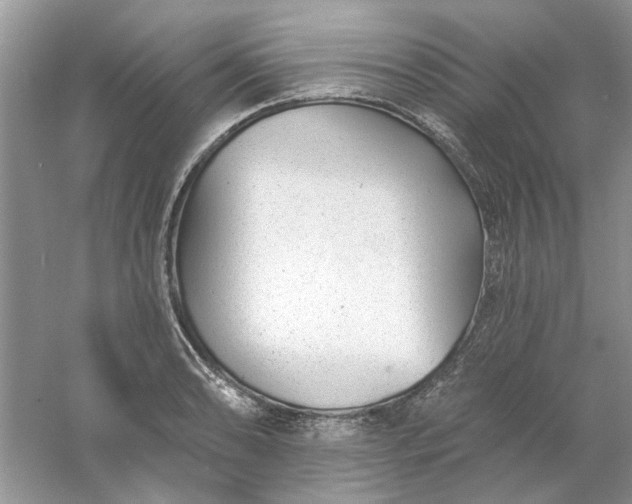 X0000061101086200512022052