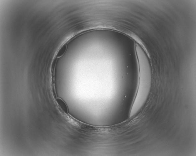 X0000061101096200512022052