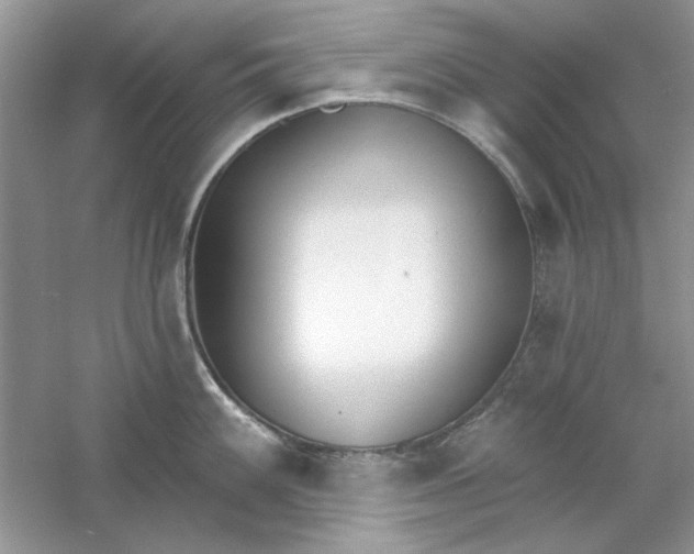 X0000061101100200512022052