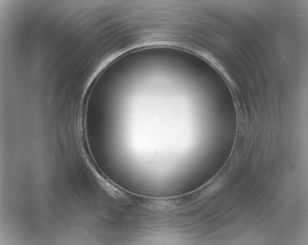 X0000061101101200512022052