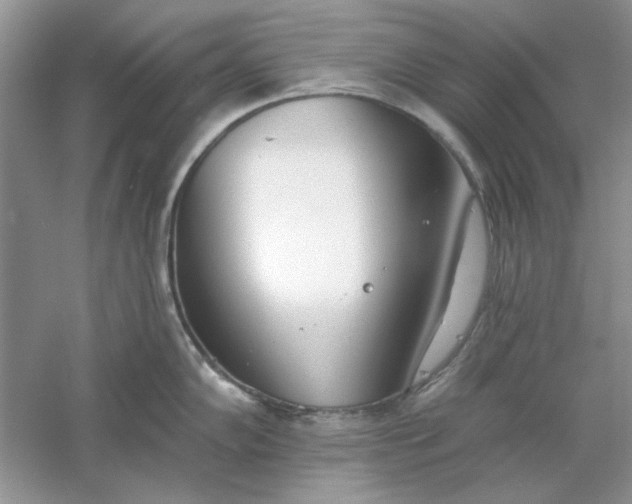 X0000061101102200512022052