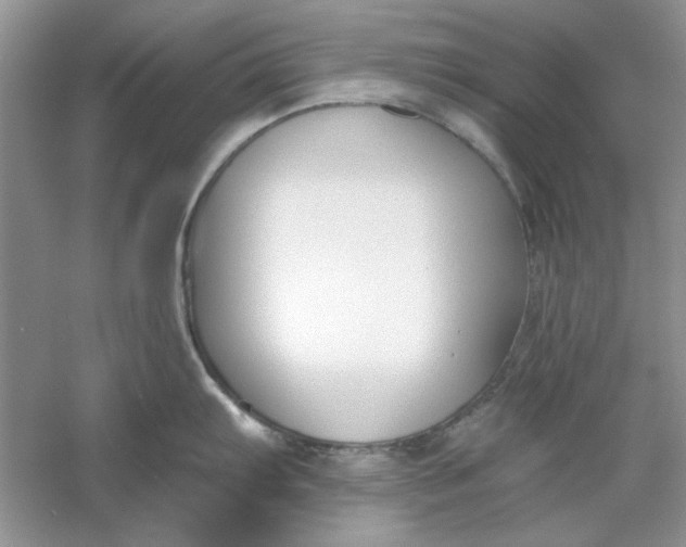 X0000061101103200512022052