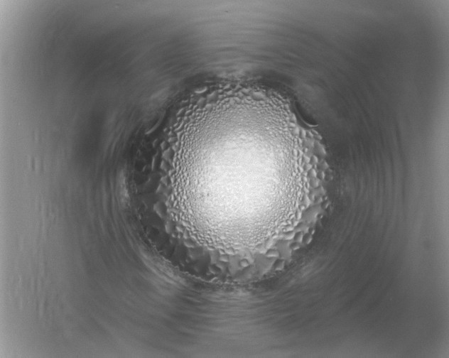 X0000061101106200512022051