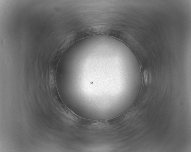 X0000061101107200512022051
