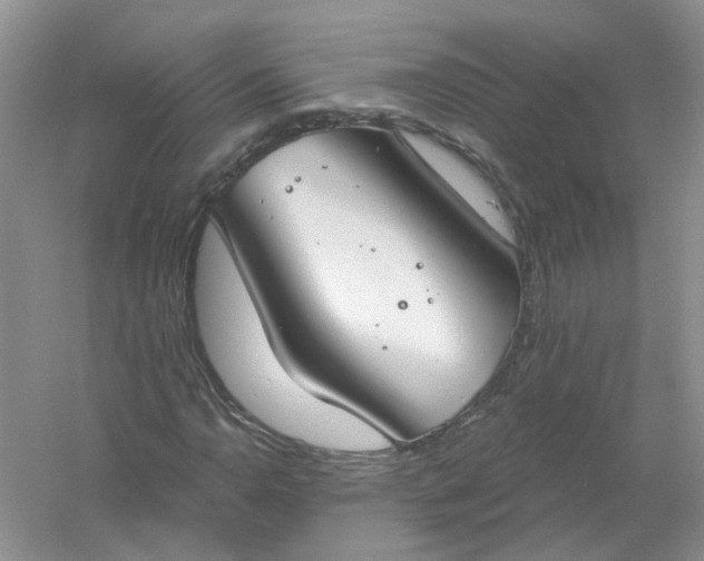 X0000061101110200512022051