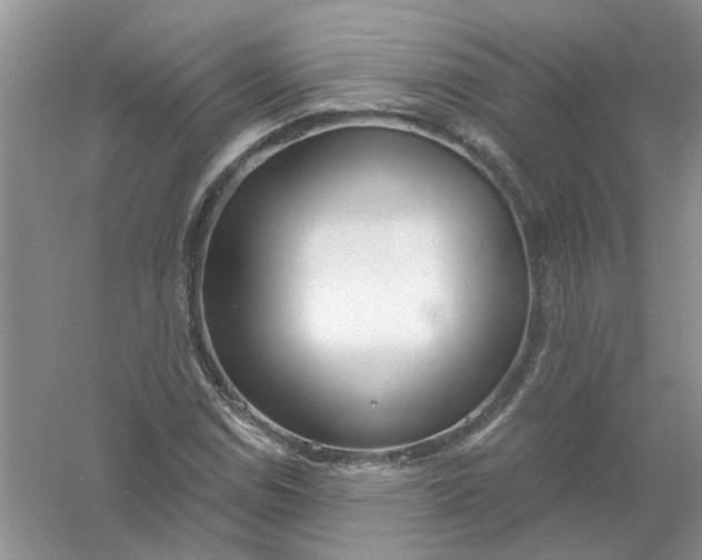 X0000061101114200512022051