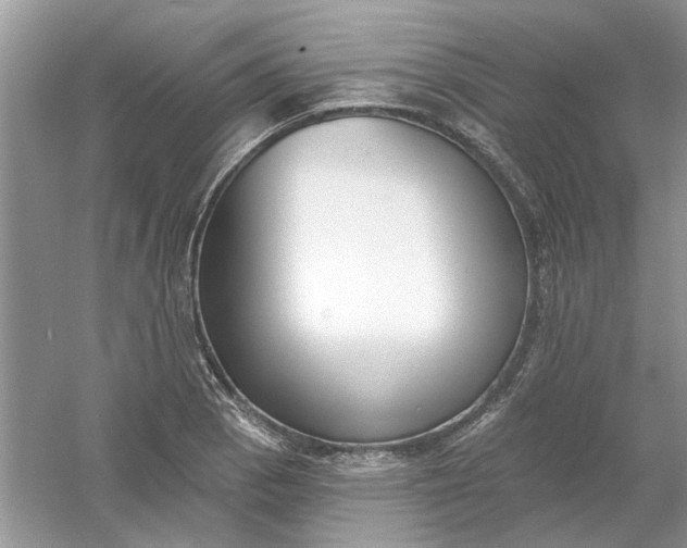 X0000061101129200512022051