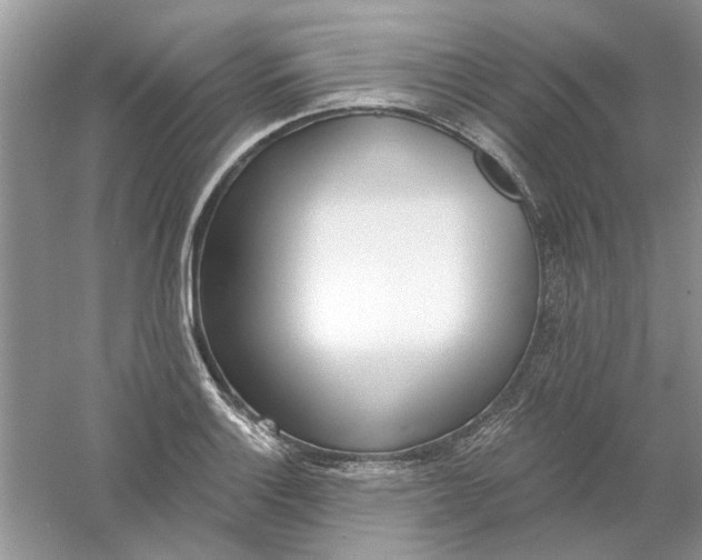 X0000061101132200512022051