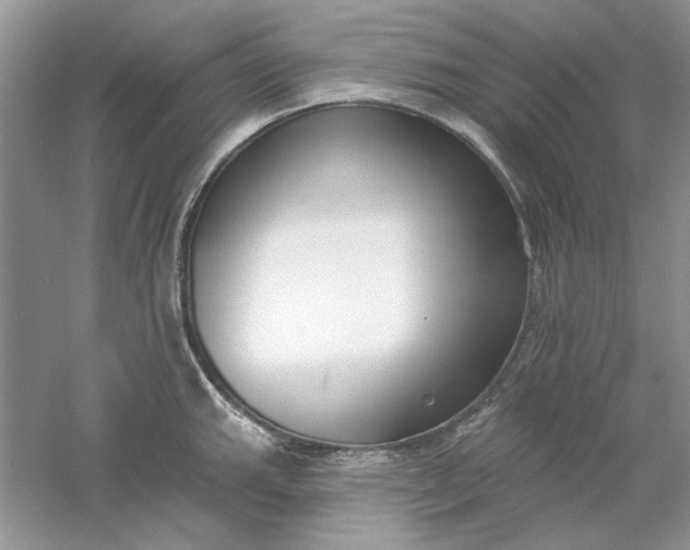 X0000061101143200512022052