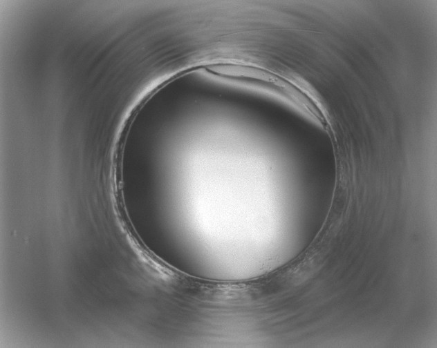 X0000061101144200512022052
